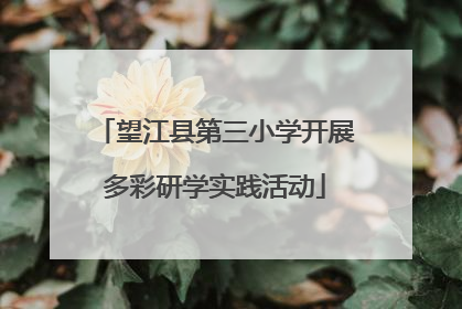 望江县第三小学开展多彩研学实践活动