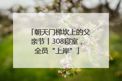 朝天门梯坎上的父亲节丨308寝室，全员“上岸”