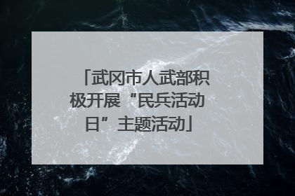 武冈市人武部积极开展“民兵活动日”主题活动