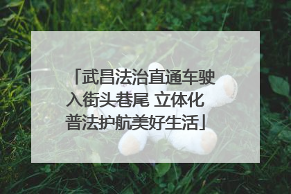 武昌法治直通车驶入街头巷尾 立体化普法护航美好生活