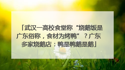 武汉一高校食堂称“烧鹅饭是广东俗称，食材为烤鸭”？广东多家烧鹅店：鸭是鸭鹅是鹅