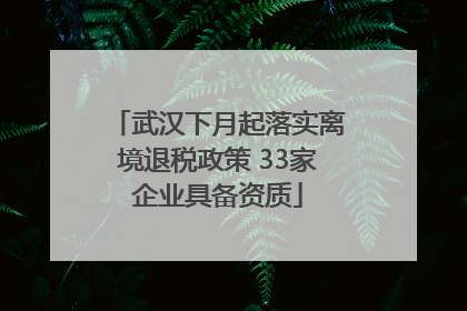 武汉下月起落实离境退税政策 33家企业具备资质