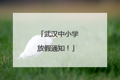 武汉中小学放假通知！