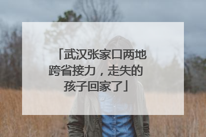 武汉张家口两地跨省接力，走失的孩子回家了