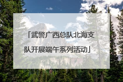 武警广西总队北海支队开展端午系列活动