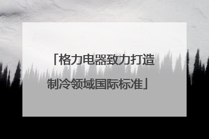 格力电器致力打造制冷领域国际标准
