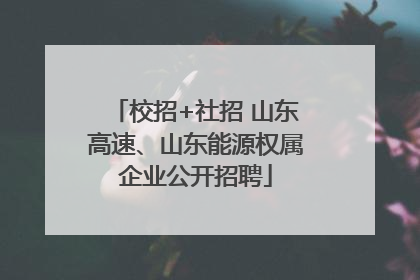 校招+社招 山东高速、山东能源权属企业公开招聘