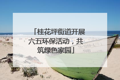 桂花坪街道开展六五环保活动，共筑绿色家园