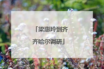 梁惠玲到齐齐哈尔调研