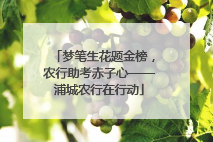 梦笔生花题金榜，农行助考赤子心——浦城农行在行动