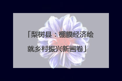 梨树县：棚膜经济绘就乡村振兴新画卷