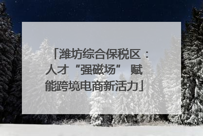 潍坊综合保税区：人才“强磁场” 赋能跨境电商新活力