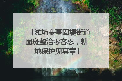潍坊寒亭固堤街道图斑整治零容忍，耕地保护见真章