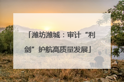 潍坊潍城：审计“利剑”护航高质量发展