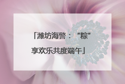 潍坊海警：“粽”享欢乐共度端午