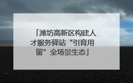 潍坊高新区构建人才服务驿站“引育用留”全场景生态