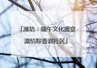 潍坊：端午文化盛宴 温情粽香润社区