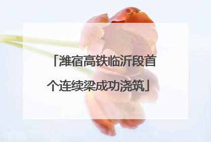 潍宿高铁临沂段首个连续梁成功浇筑