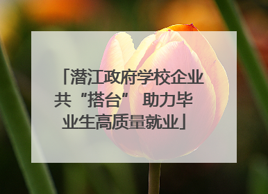 潜江政府学校企业共“搭台” 助力毕业生高质量就业