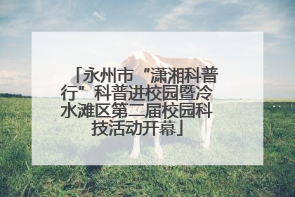 永州市“潇湘科普行”科普进校园暨冷水滩区第二届校园科技活动开幕