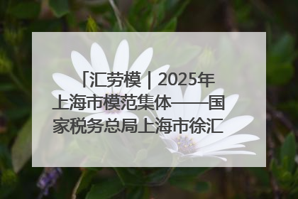 汇劳模｜2025年上海市模范集体——国家税务总局上海市徐汇区税务局第一税务所