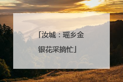 汝城：瑶乡金银花采摘忙