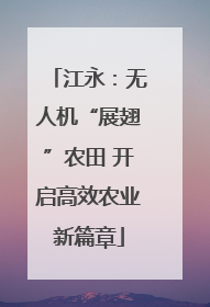 江永：无人机“展翅”农田 开启高效农业新篇章