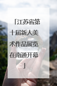 江苏省第十届新人美术作品展览在南通开幕