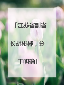 江苏省副省长胡彬郴，分工明确