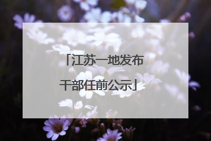 江苏一地发布干部任前公示