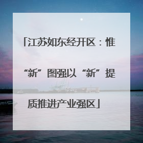 江苏如东经开区：惟“新”图强以“新”提质推进产业强区