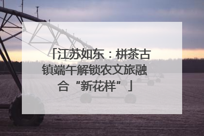江苏如东：栟茶古镇端午解锁农文旅融合“新花样”