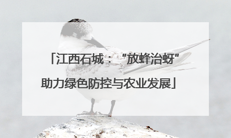 江西石城：“放蜂治蚜”助力绿色防控与农业发展