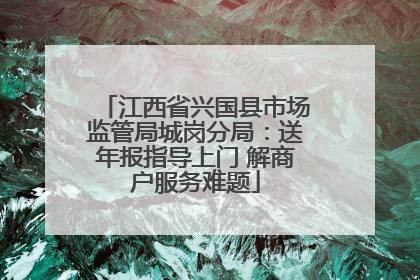 江西省兴国县市场监管局城岗分局：送年报指导上门 解商户服务难题