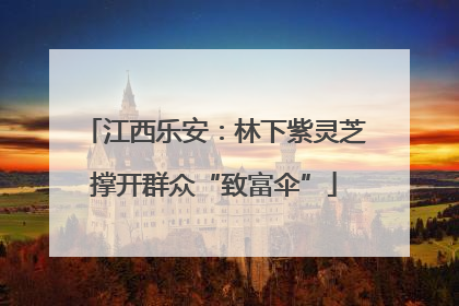 江西乐安：林下紫灵芝撑开群众“致富伞”