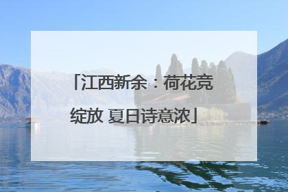 江西新余：荷花竞绽放 夏日诗意浓