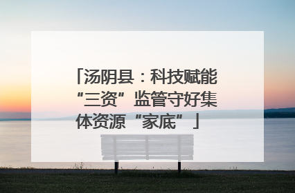 汤阴县：科技赋能“三资”监管守好集体资源“家底”