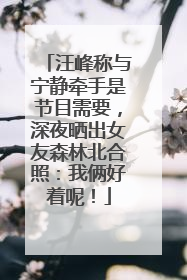 汪峰称与宁静牵手是节目需要，深夜晒出女友森林北合照：我俩好着呢！