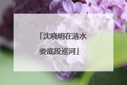 沈晓明在涟水娄底段巡河