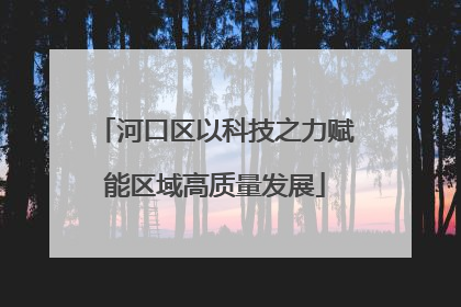 河口区以科技之力赋能区域高质量发展