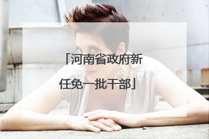 河南省政府新任免一批干部