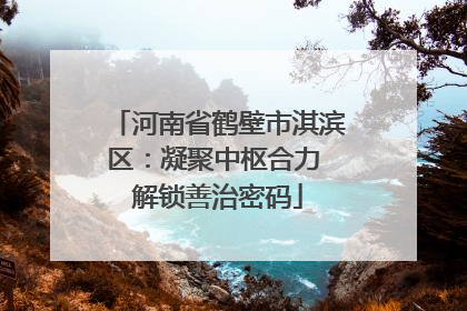河南省鹤壁市淇滨区：凝聚中枢合力 解锁善治密码