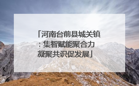 河南台前县城关镇：集智赋能聚合力 凝聚共识促发展