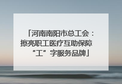 河南南阳市总工会：擦亮职工医疗互助保障“工”字服务品牌