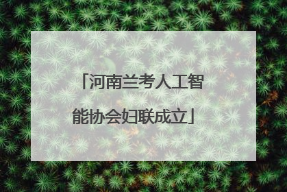 河南兰考人工智能协会妇联成立