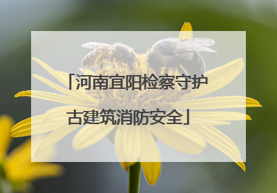 河南宜阳检察守护古建筑消防安全