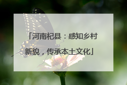 河南杞县：感知乡村新貌，传承本土文化
