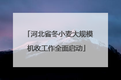 河北省冬小麦大规模机收工作全面启动