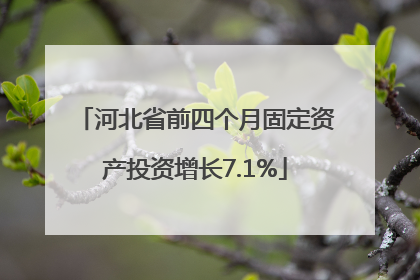 河北省前四个月固定资产投资增长7.1%