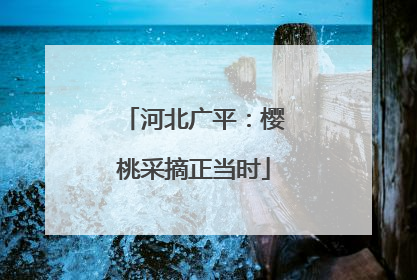河北广平：樱桃采摘正当时